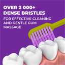 Medium Soft Toothbrush for Adults | Ultra-Dense Rounded Bristles | Gentle on Gums | Deep Plaque Removal | Whiter Smile | Suitable for Braces | 2 Pack Multicolor (Green + Purple)