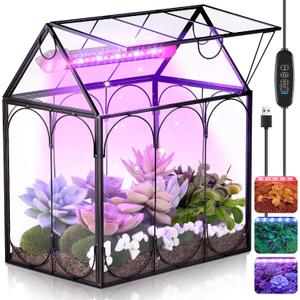 Mini Glass Venus Fly Trap Terrarium with Grow Light 9.8"x5.9"x 9"