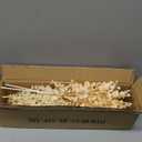 5 Stems Artificial Fall Greenery  14.6" Eucalyptus Leaf Stems for Autumn Floral Arrangements, Thanksgiving Centerpieces, Fall Decor Bouquets, Soft Cream