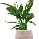 Ludu Washed Terracotta Modern Handmade Metal Indoor Planter with Textured Wave Design and Anti-Scratch Pads, Rust-Resistant Finish for Outdoor Use, Sustainable Non-Plastic Pot Recyclable Metal Vase, Medium