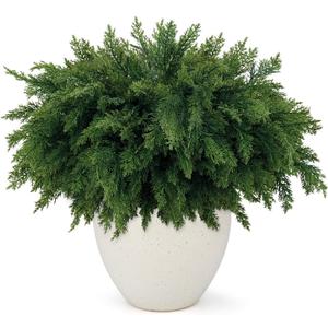 18 Inch Real Touch Cedar Branches - 8 Pcs Artificial Christmas Plants Branches, Faux Greenery Pine Stems Fake Cedar Picks for Vase DIY Crafts, Christmas Pine Branches for Home Indoor Decor