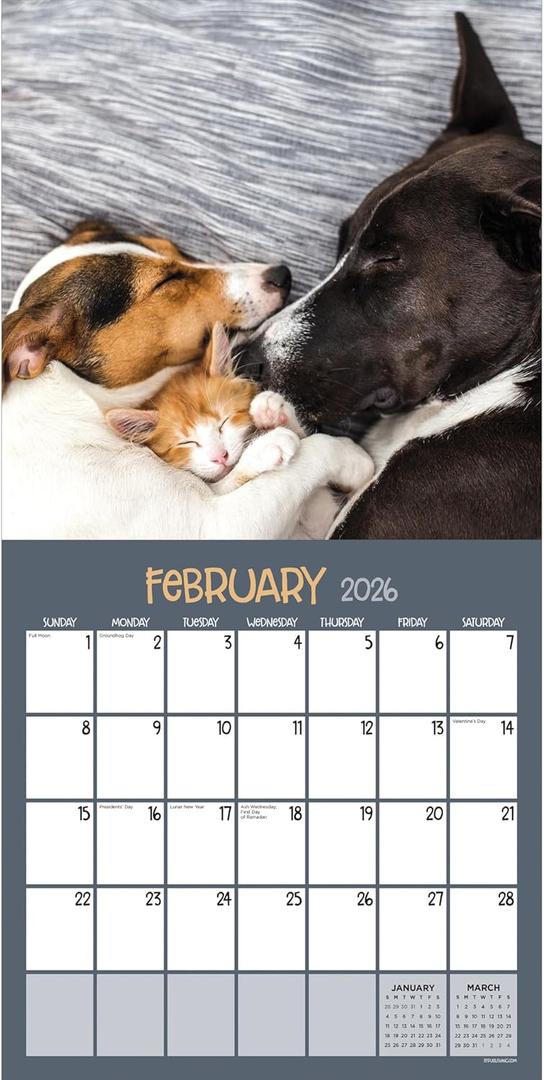 TF Publishing 2026 Furry Friends Wall Calendar - Large Grids for Appointments and Scheduling - Vertical Monthly Wall Calendar 2026 with Premium Gloss Paper for Home and Office Organization - 12x12in