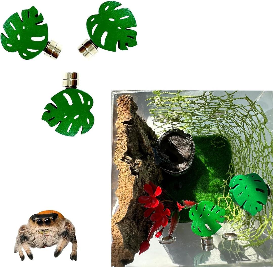 3 Pack Leaf-Shaped Magnetic Jumping Spider Enclosure Ledges with Strong Magnets  Perfect Accessories for Spoods & Jumping Spiders, Durable Habitat Dcor (Terrarium Not Included)