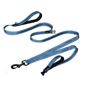 Double Handle Dog Leash Heavy Duty, Built-in Elastic Two Handle Dog Leash, Child Co Walk Shock Absorber Training Dog Leash with Reflective Stitching for High Visibility in Low Light Condition, Blue