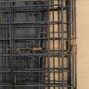 Amazon Basics - Durable, Foldable Metal Wire Dog Crate with Tray, Single Door, 42 x 28 x 30 in, Black