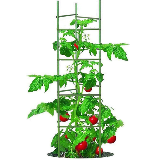 Tomato Cage 5ft 6-Pack Large Tall Tomato Cages Tomato Stakes Plants Supports Garden Stakes,40 Clips and Plant Ties Include, Green
