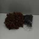 2 Pcs Afro Wig Short Curly Rocker Party Afro Wig 70s 80s Synthetic Fluffy Cosplay Fancy Funny Wigs for Men Women (Black, Brown)