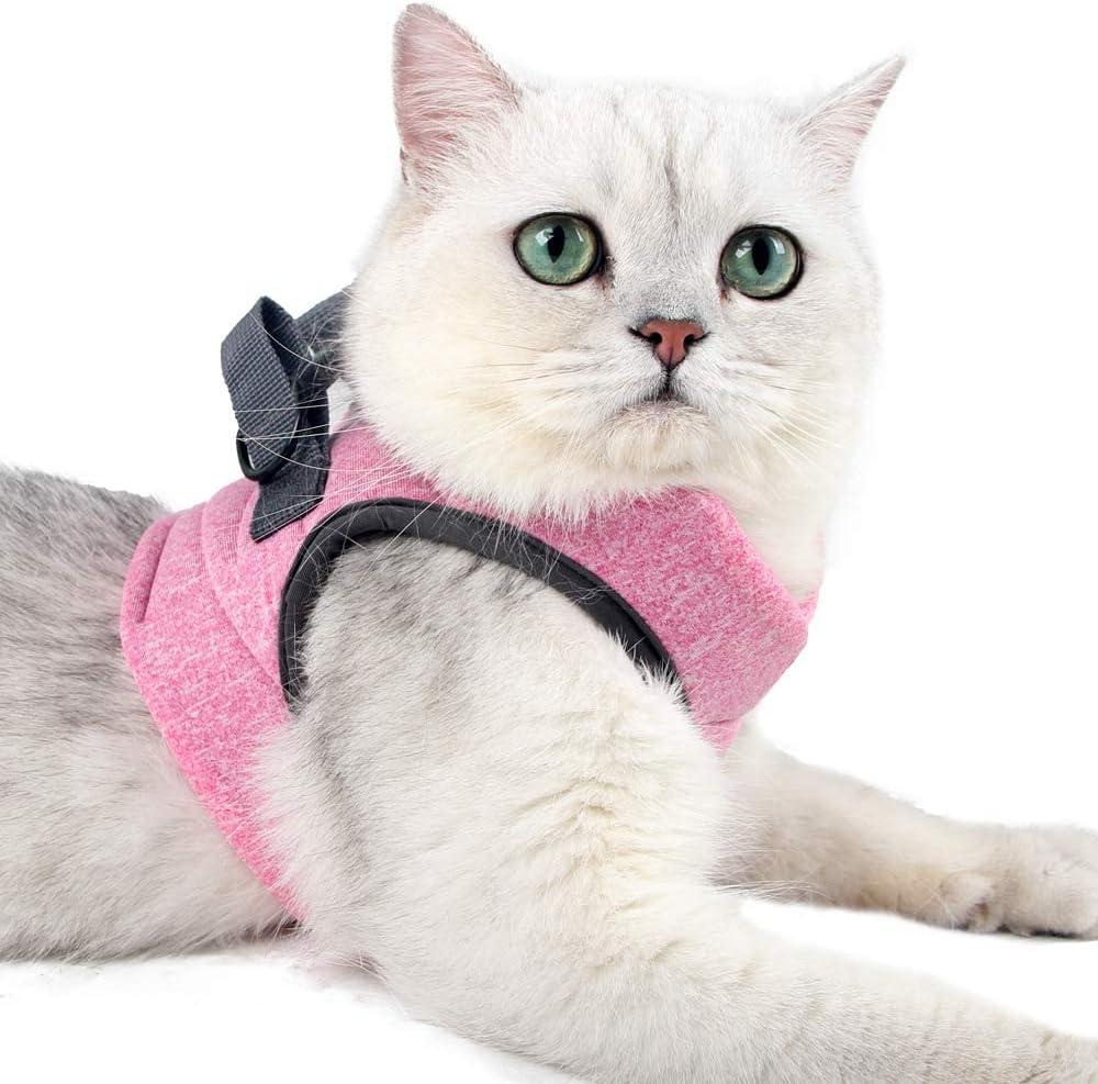 HEYWEAN Cat Harness and Leash - Ultra Light Escape Proof Kitten Collar Cat Walking Jacket with Running Cushioning Soft and Comfortable Suitable for Puppies Rabbits (Medium, Pink)