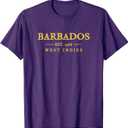 Barbados Retro Colorful Text Mens Womens Cruise Souvenir T-Shirt, Size S