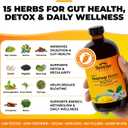 Serene Herbs Soursop Bitters Liquid with Soursop Leaves for Gut Cleanse, Detox & Immune Boost with Black Seed, Moringa, Irish Moss, Ashwaganda, Turmeric, 16 Fl Oz (Pack of 1), Mango