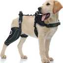 LISPOO Dog Knee Brace for Torn ACL/CCL Hind Leg,Adjustable Support with Sufficient Wrapping and Support & Luxating Patella,Non-Slip Joint Brace,Pain Relief&Better Recovery-Right Leg-Upgraded/L