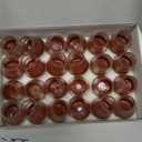 24 PCS Silicone & Felt Chair Leg Floor Protectors - Scratch Proof & Noise Reducing Furniture Caps for Hardwood Floors - Round XS Fits 9/16" to 12/16" (1519mm), Clear