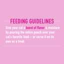 Tiki Cat Born Carnivore Broths, Salmon Recipe, Hydration and Flavor Supplement Cat Food Topper, 1.3 oz. Pouch (Pack of 12)