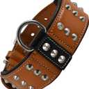 Premium Leather Studded Collar for Medium Dogs | Brazier Rivet | 2 Inch Wide Brown Dog Collar | Saddle Grade, Heavy Duty, Cushion Padding | (M (Fit Neck Size 14.5"-18.5"), Brown) (Tan)