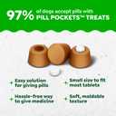 2 x Greenies Pill Pockets for Dogs Small Size, Tablet Pill Treats for Dogs, Chicken Flavor, 3.2 oz. Pouch (EXP 01/03/27)