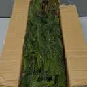 12Pcs Christmas Norfolk Pine Stems, 24'' Long Artificial Evergreen Norfolk Pine Branches, Real Touch Greenery Picks, Faux Floral Branch for Mantel DIY Xmas Home Decoration Indoor Christmas Decor