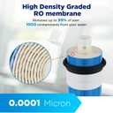 Membrane Solutions 100 GPD RO Membrane, Reverse Osmosis Membrane, RO Membrane Replacement, Reverse Osmosis Filter Replacement for Under Sink Home Drinking RO Water Purifier System (2 Pack)