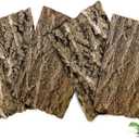 BNOSDM 4pcs Reptile Cork Bark Terrarium Background Bearded Dragon Tank Decor for Lizard Bearded Dragon Frog Leopard Gecko Tortoise Snake Chameleon