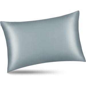 ALASKA BEAR Natural Silk Pillowcase, Hypoallergenic, 19 Momme, 600 Thread Count 100 Percent Mulberry Silk, Queen Size with Hidden Zipper(1, Haze Blue) (Queen 20''x30'')