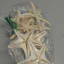 12 PCS Starfish | 2.5-6 Inch Starfish Decor | Natural Bulk Starfish Shells Perfect for Crafts Making Beach Theme Party Wedding Decoration, Home Wall Decor, Christmas Ornaments, Fish Tank