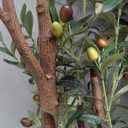 6FT Artificial Olive Tree - Indoor Tall Faux Olive Trees with Planter&Basket, Large Fake Olive Silk Tree Realistic Olive Plants with Branches and Fruits for Home Decor Office Living Room