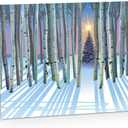 Stonehouse Collection | Forest Christmas Tree Card | 18 Boxed Holiday Cards & Envelopes | USA Made (Standard)