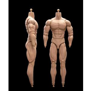 1/6 Scale Male Body,12inch Male Soldier Flexible Strong Muscular High Action Figure Body Collection (23-BD003)