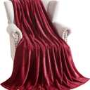 TASTHROW Large Flannel Fleece Throw Blanket, 6080 Inch - Cozy Lightweight Thick Blanket - All Seasons Suitable for Women, Men and Kids (Burgundy)