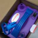 IDAODAN Electric Balloon Pump, Portable Electric Balloon Blower Machine Balloon Air Pump Dual Nozzle Rose Red 110V 600W Balloon Inflator for Party Decorations (Purple Blue)