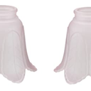 Aspen Creative 23102-4A Transitional Pink Rose Leaf Ceiling Fan Replacement Glass Shade, 2-1/8" Fitter Size x 5" Diameter x 4-1/4" Height, 2 Pack