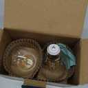 12 Volt Edison Bulb E26 12V LED Bulb Warm White 2700K 60W Equivalent, 12V 24V 36V Low Voltage Vintage Bulbs A19 12Volt LED Filament Bulbs for RV, 2 Pack