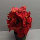 16" Poinsettias Artificial Christmas Flowers 11 Heads Fake Poinsettia Plants for Home Porch Garden Office Indoor Outdoor Christmas Winter Decorations Red