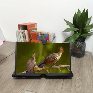 Screen Magnifier for Cell Phone,3D HD Big Screens Phone Magnifier,Foldable Phones Stand with Movie Screens Amplifier,Portable Mobile Phones Magnifier Projector for Movies,Compatible All Smartphones