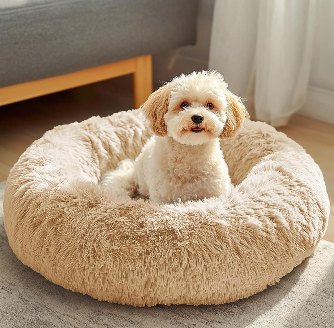 JOLLYVOGUE Dog & Cat Bed, Calming Anti-Anxiety Pet Bed for Small Dogs, Fluffy Donut Cushion for Small and Medium Pets (20") (Off - White)