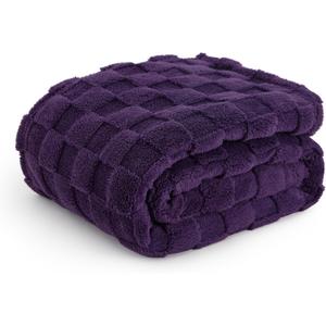 Bedsure GentleSoft Purple Throw Blanket for Couch - Checkered Fleece Blankets Gifts for Kids Girls, Cute Soft Cozy Throw for Bedroom Home Decor Gifts, 50x60 Inches