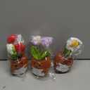 Wavwavw 3 Pack Teacher Appreciation Gift Positive Flower Handmade Crochet Doll Thank You for Helping Me Grow Gifts Back to School Gifts for Women Teacher(Strawberry, Puff and Sunflower)