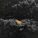 Terrug Black Fluffy Area Rug for Living Room, 8x10 Ft Tie-Dyed Shag Throw Rugs, Soft Machine Washable Plush Carpet with Non Slip Backing for Girls Kids Room Bedroom Floor Decoration