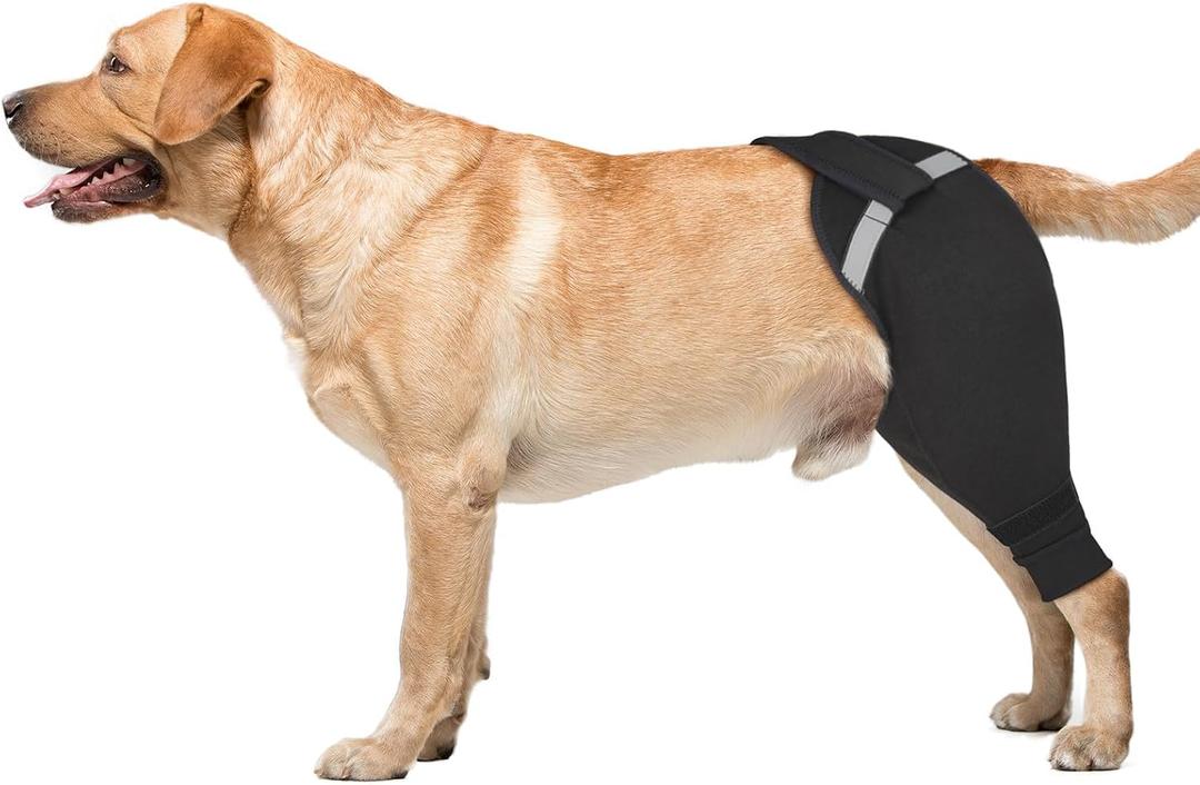 Dog Rear Leg Sleeve to Stop Licking, Upgraded Hind Leg Cover to Stop Slipping, for TPLO Surgery, Skin Conditions, Wounds, Breathable Soft Fabric, Dog Cone Alternative, Right,L,Black
