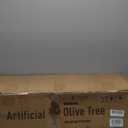 LOMANTO Artificial Olive Trees, 6 ft Tall Fake Olive Trees for Indoor, Faux Olive Silk Tree, Large Olive Plants with White Planter for Home Decor and Housewarming Gift, 1 Pack