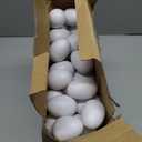 Yeshone 100 Pieces Egg Shakers Bulk Musical Instruments Percussion Maracas Egg for Kids Toys Plastic Shaker for Learning DIY Painting, Classroom Music, Rhythm(White)
