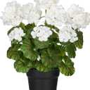 Briful Artificial Geranium Potted Plant  16 Tall, Realistic Silk Flowers with Vibrant Green Leaves, White Geraniums Fake Flowers for Outdoors Home Dcor, Wedding Farmhouse Office Tables Decor