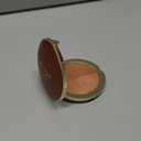 Too Faced Sun Bunny Bronzer | Buildable Highlighter + Bronzer Duo for Luminous Glow and Sun-Kissed Finish, 0.28 Ounce