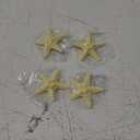 Syhood 4 Pcs Resin Starfish Hair Clip Halloween Mermaid Accessories Seashell Sea Star Hair Clip for Women Mermaid Costume(Classic Color, Starfish)