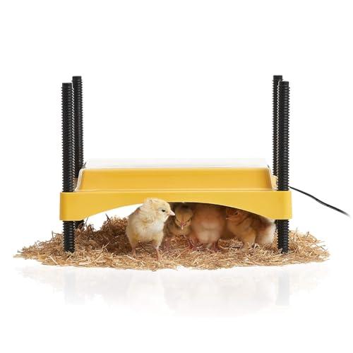 Amazon.com: Brinsea Ecoglow Safety 600 Chick or Duckling Brooder, Adjustable Height & Angle Brooder Plate for 20 Chicks, Ideal for Chicken Coops Poultry Heating with Safety Indicator, 12 Watts : Patio, Lawn & Garden