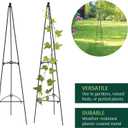 Arcadia Garden Products No Assembly Required 3 ft Folding Metal Obelisk Trellis for Climbing Plants Plastic-Coated Grow Support for Indoor Outdoor Flowers, Vegetables, Vines, Ivy