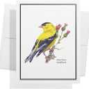 Twigs Paper - Assorted American Birds Greeting Cards - Stationery Cards with Envelopes - Thank You Card - Blank Note Cards - Greeting Cards for All Occasions - Made in USA (5.5 x 4.25, Set of 12)