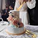 Ovveroche Wedding Cake Knife and Server Set, 4 Pack Stainless Steel Cake Cutting Knife, Slicer and Forks Server for Wedding, Anniversary, Birthday, Baby Shower(Gold 2026)