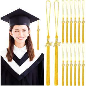 Yaomiao 14 Pieces 2025 Year Charm Graduation Tassel Academic Graduation Hat Tassel with Decoration for Graduates Ceremonies Parties Accessories (Gold)