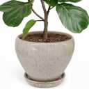 Deep Dream 10 Inch Plant Pot- Ceramic Planter Pot Round Plant Pots for Indoor Plants Outdoor Large Flower Pot with Drainage Holes & Trays, Beige