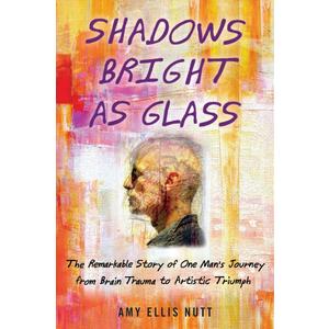Shadows Bright as Glass: The Remarkable Story of One Man's Journey from Brain Trauma to Artistic Triumph